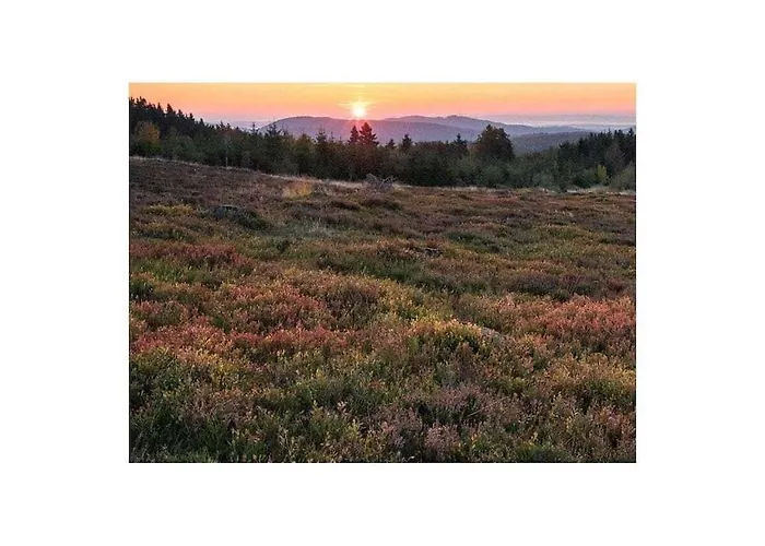 Vakantiehuis With 1 Bedroom Winterberg